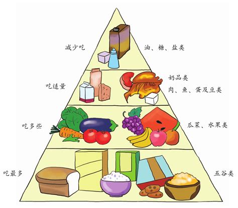 食物金|营养金字塔